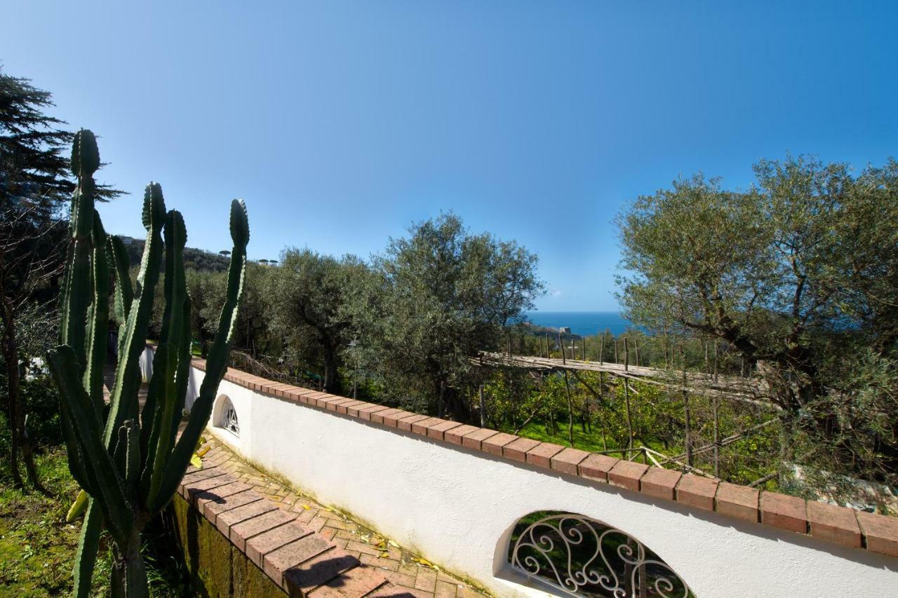 Villa Le Olivine Sorrent Exterior foto