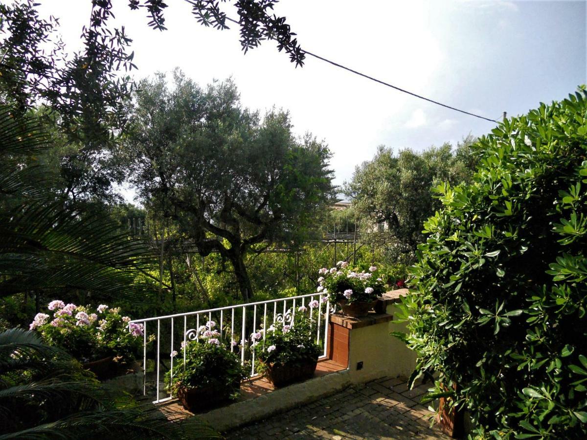 Villa Le Olivine Sorrent Exterior foto