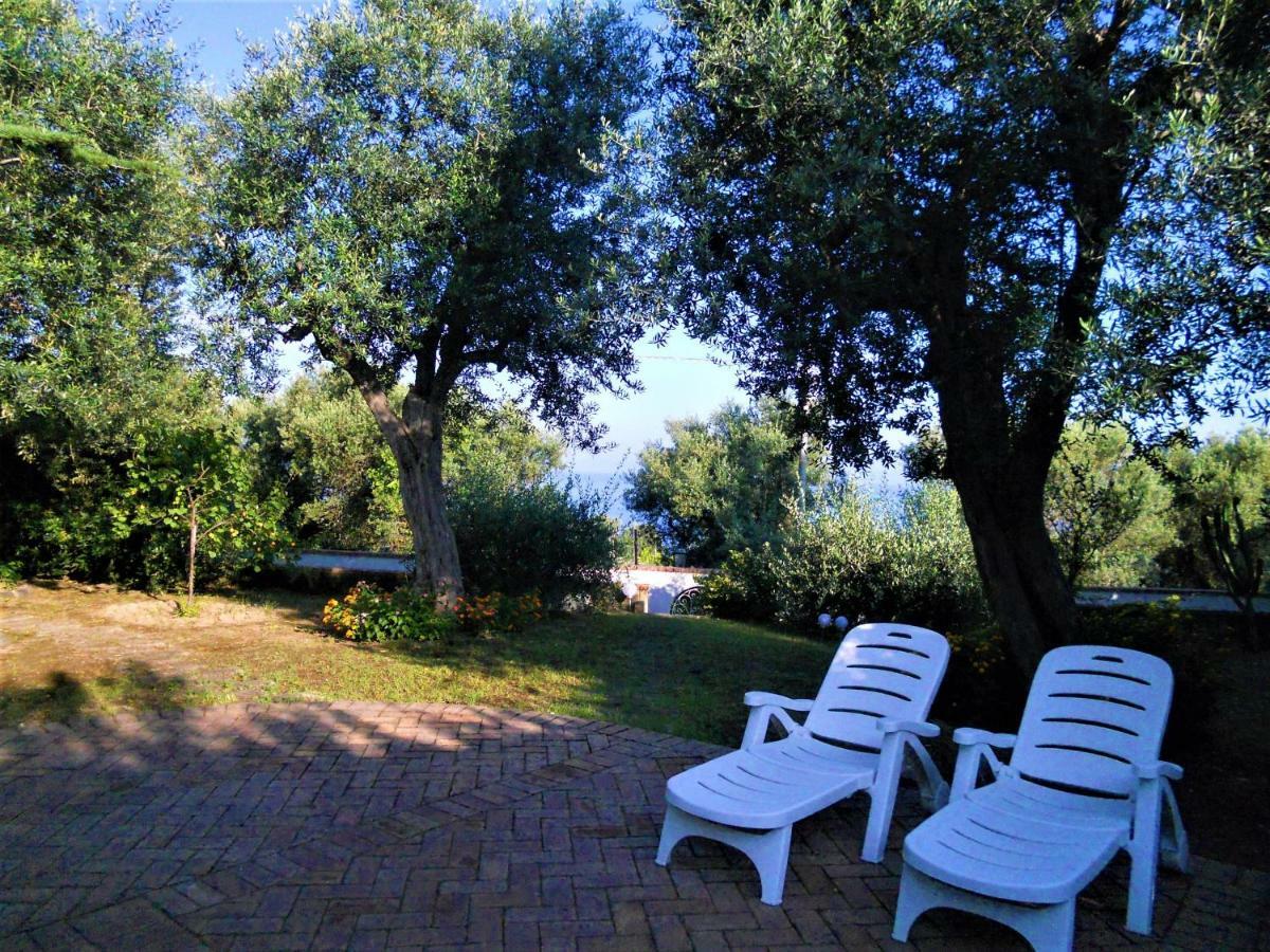 Villa Le Olivine Sorrent Exterior foto