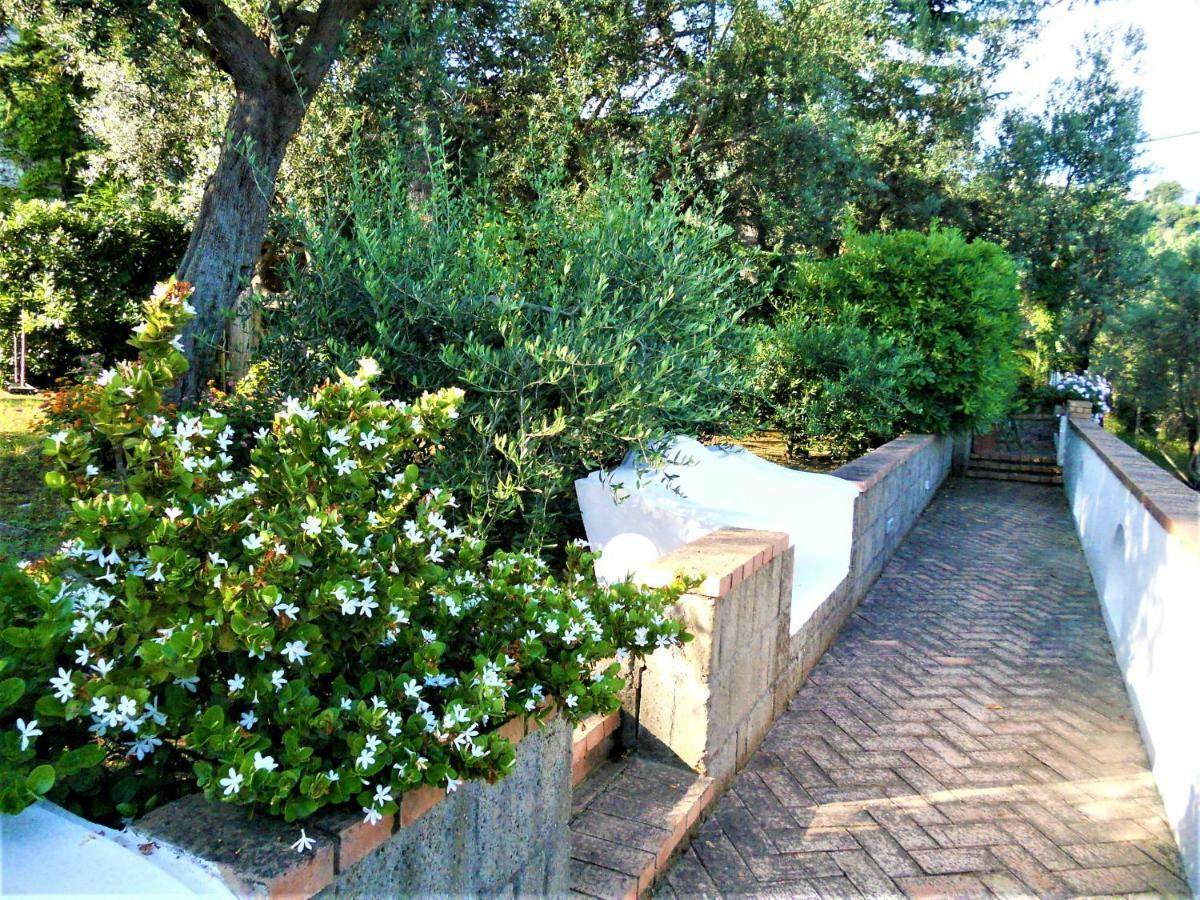 Villa Le Olivine Sorrent Exterior foto